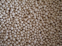 Molecular Sieve