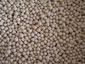 Molecular Sieve